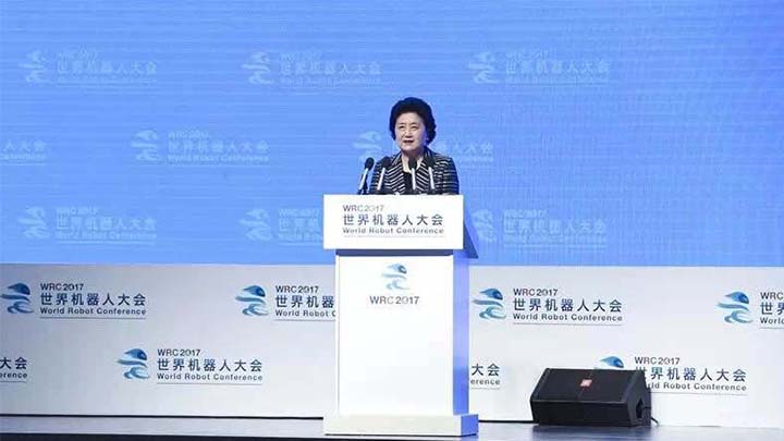 国务院副总理刘延东讲话